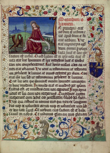 Ms Z 607