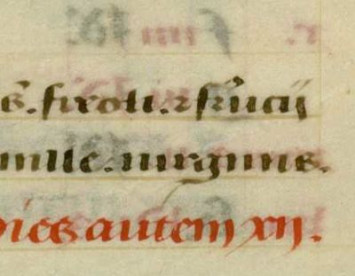 S. Fereole et Ferrucii